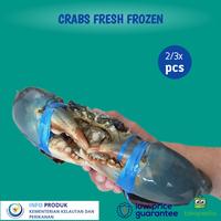 Gambar Jual Kepiting Bakau Jantan Fresh Frozen 1kg - 1,5kg dari PT RIVEL FOOD INDONESIA undefined 1 Tokopedia