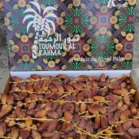 Gambar kurma deglet noor Deglet Nour Dates Kurma Tangkai Tunis Fresh Premium dari Quwata Herbal Store undefined 5 Tokopedia
