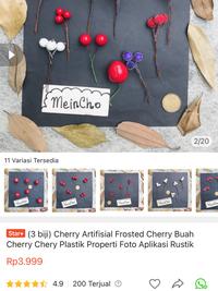 Gambar Cherry Artifisial Frosted Cherry Buah Cherry Chery Plastik (3 biji) - FrostedMrh 3bij dari MeinCho undefined 2 Tokopedia