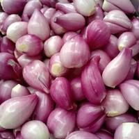 Gambar bawang merah kupas 1kg/bawang putih kupas 1kg dari Juragan 86 undefined 2 Tokopedia