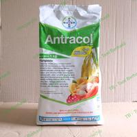 Gambar Fungisida Antracol 70 WP 1 Kg. Obat antraknosa, bercak daun tanaman dari TB - Tani Berhasil undefined 2 Tokopedia