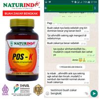 Gambar Obat Hernia Paling Ampuh Turun Berok Tanpa Operasi Hidrokel Varikokel dari Obat Tradisional Herbal Alami undefined 3 Tokopedia