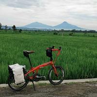 Gambar Wim Cycle Pocket Rocket polygon dari 897store undefined 3 Tokopedia