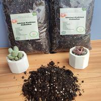 Gambar METAN KAKTUS &SEKULEN MEDIATANAM POROUS DAN STERIL REPACK 1 KG dari CAHAYAKEBUN undefined 2 Tokopedia