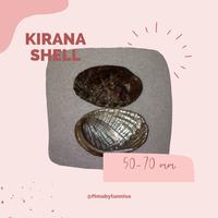 Gambar CANGKANG KERANG ABALON BENCONG /CANGKANG KERANG KOLEKSI dari Kirana shell undefined 1 Tokopedia