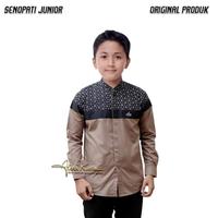 Gambar baju koko muslim anak-anak laki-laki motif senopati koko termurah - kunyit, 15 dari ALCA GALLERY PEKALONGAN undefined 2 Tokopedia