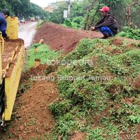 Gambar Paket Rumput Gajahan/Paitan 1 Truk Engkel Murah dari Tukang Rumput Taman undefined 2 Tokopedia