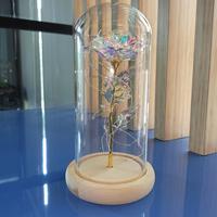 Gambar Lampu Meja Hias LED Mawar Beauty & The Beast Warm White - Multi Color dari SanLa Store undefined 3 Tokopedia