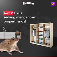 Gambar RatKiller Racun Tikus Mati Kering Tanpa Bau 250 Gram Ampuh Original dari Expecta Store undefined 2 Tokopedia