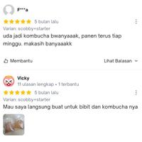 Gambar scoby kombucha dari Ms.kombucha undefined 3 Tokopedia