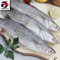 Gambar Ikan Belanak / Kacang Kacang Segar Berkualitas Grade A - 1 Kilogram dari PUSAT IKAN SEGAR BosKAHFI undefined 1 Tokopedia
