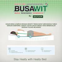 Gambar KASUR  BUSAWIT 2 RASA - ORTHOPEDIC HEALTY BED - 160x200 dari Yosua Meubel undefined 2 Tokopedia
