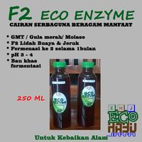 Gambar F2 Eco enzyme / Eco enzyme / Eco enzyme fermentasi ke 2 - 250 ml, LdhBuaya Jeruk dari Eco Hayu undefined 2 Tokopedia
