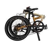 Gambar Sepeda Lipat Folding Bike 20 Element Clip Mirip Element Nicks - Green Red dari Toko Sepeda Yerikho undefined 4 Tokopedia