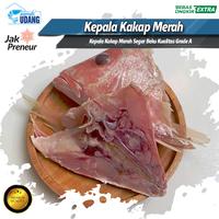 Gambar Ikan Kakap Merah - Kepala Kakap Merah - Red Snapper Head Segar/Beku - 1 Kg dari Rumah Udang Jakarta undefined 3 Tokopedia