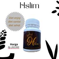 Gambar Hslim Obat Pelangsing Herbal dari Herbalslimming. undefined 3 Tokopedia