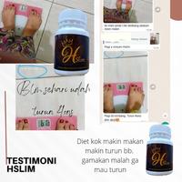 Gambar Hslim Obat Pelangsing Herbal dari Herbalslimming. undefined 4 Tokopedia