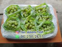 Gambar TERLARIS 1 PACK ANGGUR HIJAU MANIS TANPA BIJI MONTOK CRUNCHY SUPER dari FOUR SEASONS FRESH undefined 4 Tokopedia