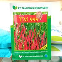 Gambar BENIH CABAI F1 TM 999 10 GRAM TANI MURNI INDONESIA dari DAMARTANI undefined 2 Tokopedia