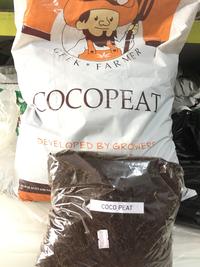 Gambar Coco Peat (Serbuk Serabut Kelapa) – 2 Liter Media Tanam Cocopeat dari Indah Garden Makassar undefined 2 Tokopedia