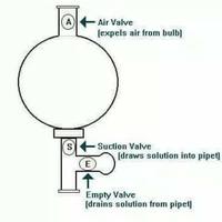 Gambar Pipet Filler, Pipet Bulb, Rubber Bulb, Karet Penghisap Superior dari Epic Group undefined 2 Tokopedia