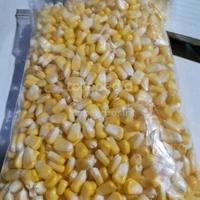 Gambar Jagung Manis Pipil Jasuke dari Lapakgrosirofficial undefined 4 Tokopedia