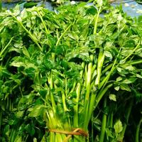 Gambar daun tespong segar dari Sayurmayur fresh mart undefined 1 Tokopedia