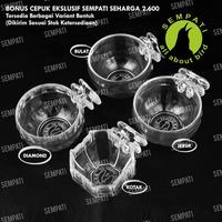 Gambar Jamu Burung Dara Jamu Burung Merpati Balap Kolongan Berkualitas Dsm dari OKhealth undefined 5 Tokopedia
