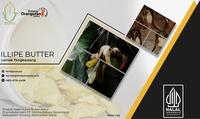 Gambar Illipe Butter Refined (Lemak atau Minyak Tengkawang) 1 kg dari SOC Merchandise undefined 1 Tokopedia