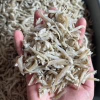 Gambar ikan teri buntiau / buntiao / buntiauw medan 500gram dari Toko ikan Asin Mega undefined 1 Tokopedia