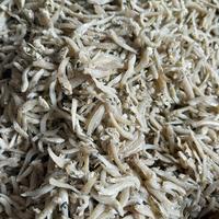Gambar ikan teri buntiau / buntiao / buntiauw medan 500gram dari Toko ikan Asin Mega undefined 3 Tokopedia