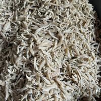 Gambar ikan teri buntiau / buntiao / buntiauw medan 500gram dari Toko ikan Asin Mega undefined 2 Tokopedia