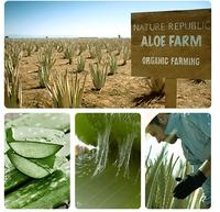 Gambar Nature Republic Aloe Vera 92% Soothing Gel 300ml - Aloe Vera 300ml dari kosmetik official store undefined 5 Tokopedia
