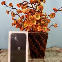 Gambar Iphone 11 64 GB Garansi Resmi IBOX - Black dari Lokajaya Phone Store undefined 1 Tokopedia
