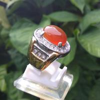 Gambar Cincin Batu Akik Red Raflesia Bengkulu (carnelian) aksesoris pria dari Akik-Apik undefined 3 Tokopedia