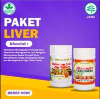 Gambar Obat Liver Bengkak Hepatitis Sirosis Penyakit Kuning Alami di Apotik dari DE NATURE CENTER INDONESIA. undefined 1 Tokopedia