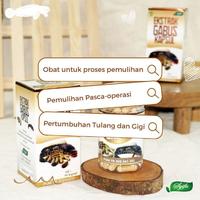 Gambar Kapsul Ekstrak Ikan Gabus Kutuk Albumin Penyembuh Pengering Luka Bakar dari Mahkota Delima undefined 3 Tokopedia