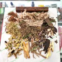 Gambar Ramuan Herbal Sinusitis (Pilek, Hidung Tersumbat) dari Toko Obat Panjang Jiwo undefined 3 Tokopedia