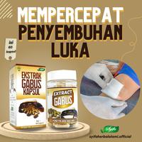 Gambar Kapsul Ekstrak Ikan Gabus Kutuk Albumin Penyembuh Pengering Luka Bakar dari Mahkota Delima undefined 1 Tokopedia