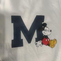 Gambar HOODIE ZIPPER DISNEY, PUTIH, PRELOVED/SECOND, BRANDED ORIGINAL dari Juvestore1 undefined 3 Tokopedia