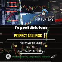 Gambar Forex PERFECT for SCALPING EA Anti MC Guaranteed dari Pip Hunters undefined 1 Tokopedia