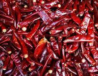 Gambar CABE JAPLAK PREMIUM PEDAS 1KG, CABE TEJA KERING MERAH TANPA TANGKAI - 1KG dari Mr G Dimsum undefined 2 Tokopedia