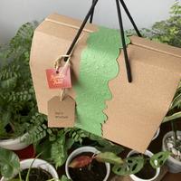 Gambar Ketan Gurih Ny Lany Cirebon dalam boks ekslusif - 5 pcs + Box dari Rumah Kue Cirebon undefined 4 Tokopedia