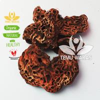 Gambar Sarang Semut Papua 100gr - Asli Papua Grade A dari Temu Waras undefined 1 Tokopedia