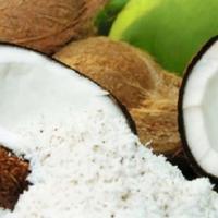 Gambar Kelapa Parut Segar Kelapa Utuh Sayur Segar Cikarang Sayur Segar Bekasi - Di kerik dari WarungSedepan undefined 1 Tokopedia