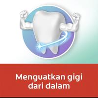 Gambar Colgate Fresh Mint 180g gram Odol Pasta Gigi kesehatan mulut gigi dari vitaminherbaljakartaoriginal undefined 2 Tokopedia