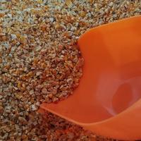 Gambar jagung burung puter 100gr dari Berkah Pelung Cibaduyut undefined 1 Tokopedia