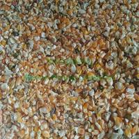 Gambar jagung burung puter 100gr dari Berkah Pelung Cibaduyut undefined 2 Tokopedia