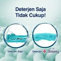 Gambar DOWNY PEWANGI DAN PELEMBUT PAKAIAN KONSENTRAT ANTI APEK dari COMETMART undefined 2 Tokopedia