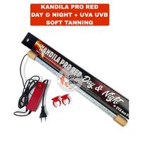 Gambar LAMPU KANDILA PRO RED DAY AND NIGHT PLUS UVA UVB LAMPU TANNING ARWANA - PLUS 1800 dari Stefan Store Depok undefined 1 Tokopedia